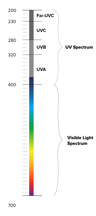Graphic showing UV and UVC light spectrum