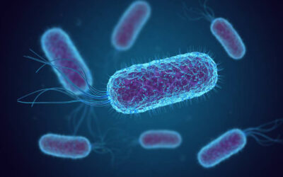 Far-UVC Against E. coli