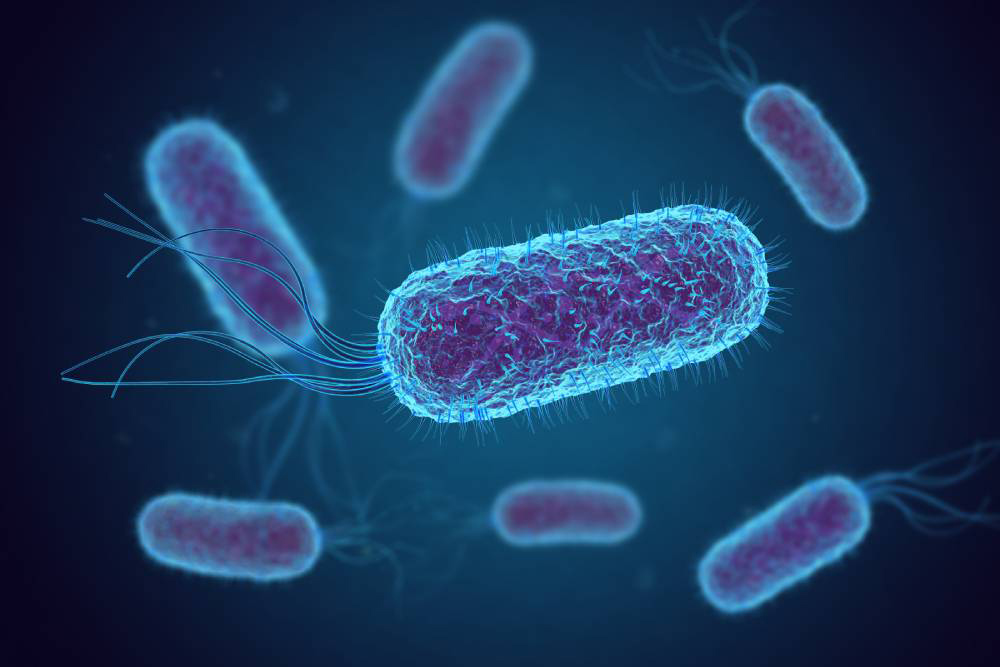 Far UVC Resources scientific research regarding e.coli