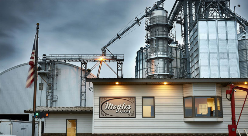 Mogles Farms Visium Case Study Building