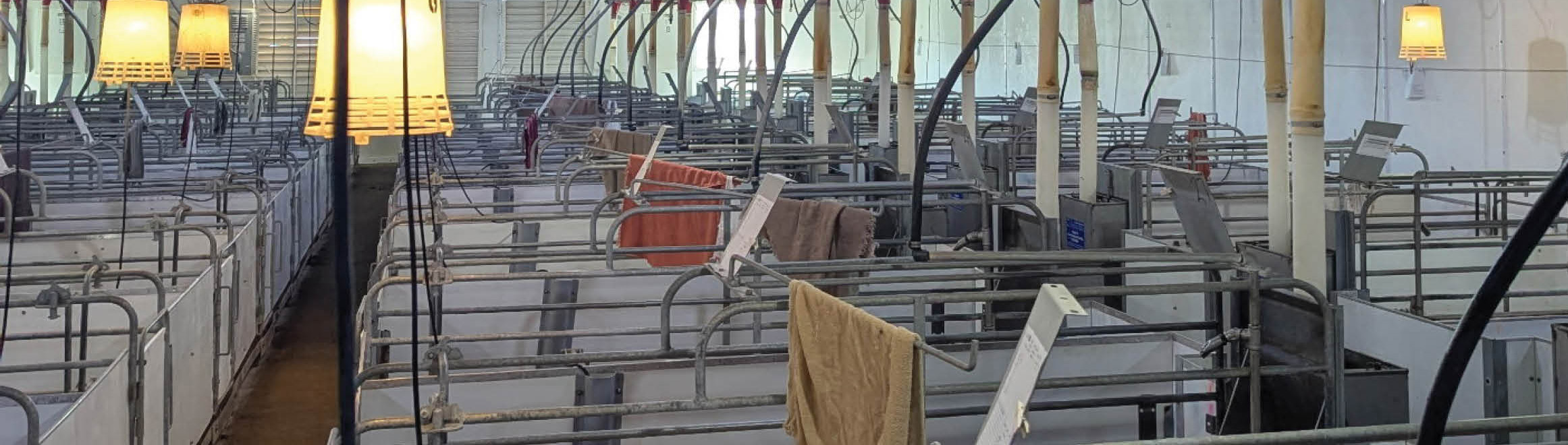 Mogler Pig Farm Shed