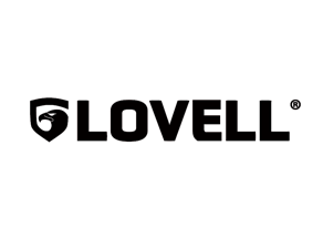 In Partnership with Lovell Government Services